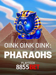 Casino Ao Vivo 8855Bet